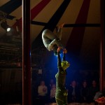 Cirkusbilder 0522 -31